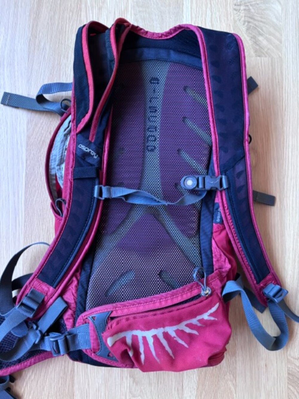 Osprey Raptor 14L - Picture 3 of 5